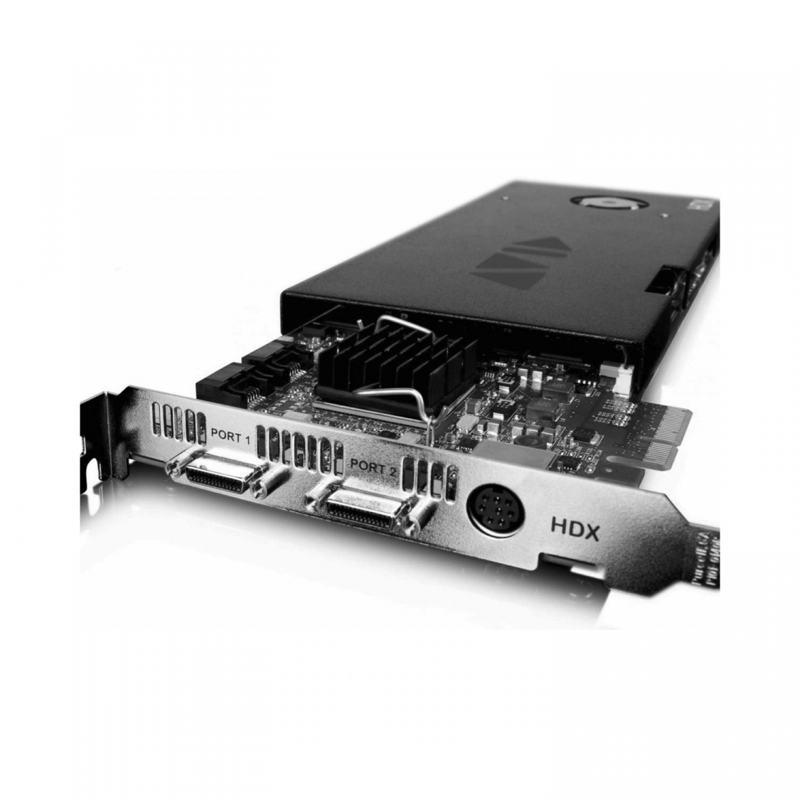 AVID ENGINE DSP EXPANSION CARD – каталог «Дип Саунд»