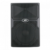 Peavey PVX 15