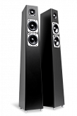 Totem Acoustic TRIBE TOWER Black-satin