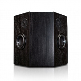 Totem Acoustic LYNKS Black Ash